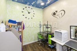 Продажа коммерческой, Барнаул