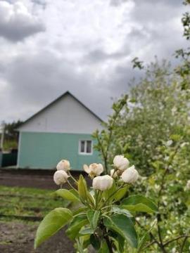 , 2-комн., Барнаул